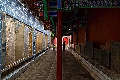 《茧中蚕作最后一梦》登陆Switch 经典第一人称日恐