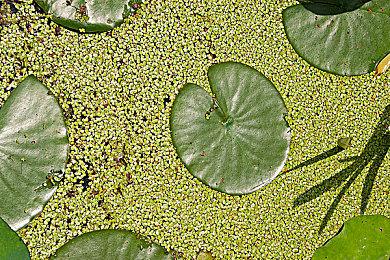 《银河战士：生存恐惧》IGN 9分 GS 8分：经典回归