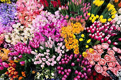 解谜模拟互动小说游戏《谁是中之人》现已推出试玩Demo 预计2025年第一季度发售